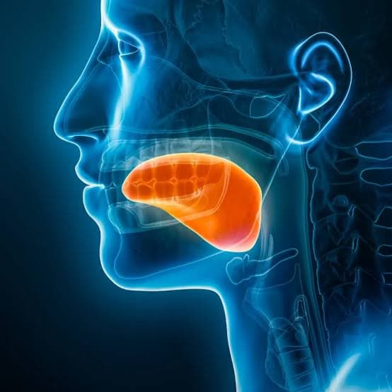 Cáncer de lengua