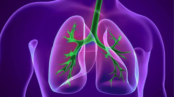 Enfermedad pulmonar obstructiva crónica (EPOC)