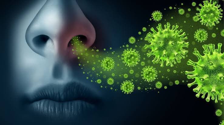 Gripe (Influenza)