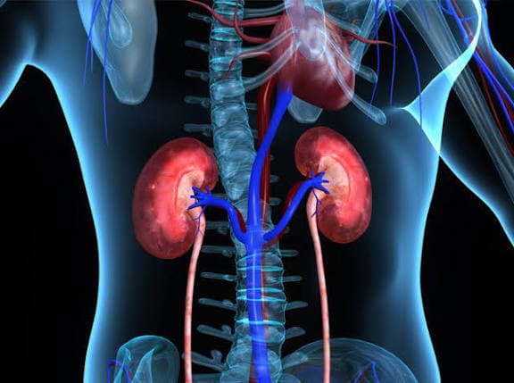 Insuficiencia renal (cons. “Nefritis” y “Glomerulonefritis posestreptocócica”)