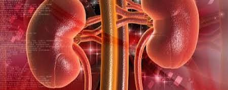 Isquemia reperfusión renal