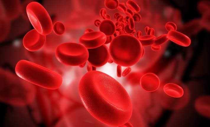 Leucemia