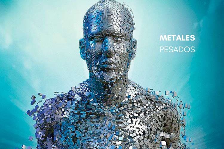 Metales pesados