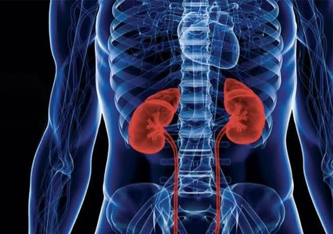 Nefritis (consultar apartado “Glomerulonefritis 