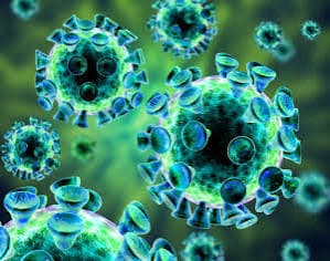 Virus de Epstein-Barr (citomegalovirus)