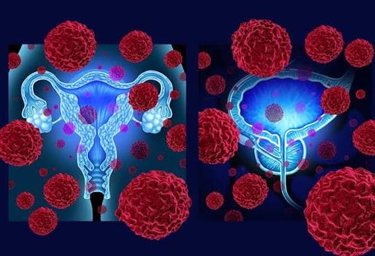 Virus del Papiloma Humano (VPH)